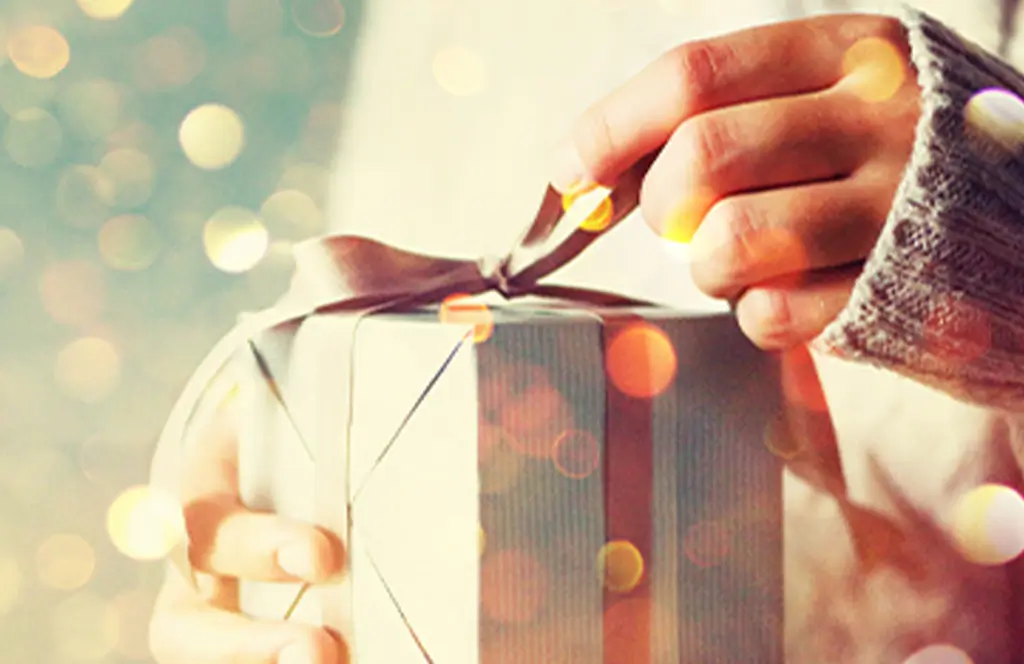 hands holding a wrapped christmas gift